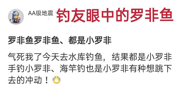 厦门|厦门一河道被“入侵”，密密麻麻全是鱼！连钓鱼人都发愁