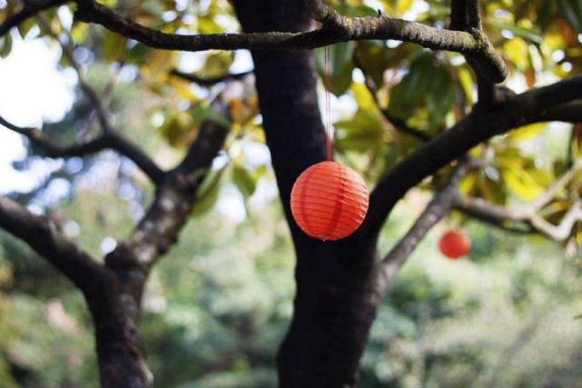 旧爱|下周开始好运扣开家宅，喜事迎门而入，大富启源幸福美满的3生肖！