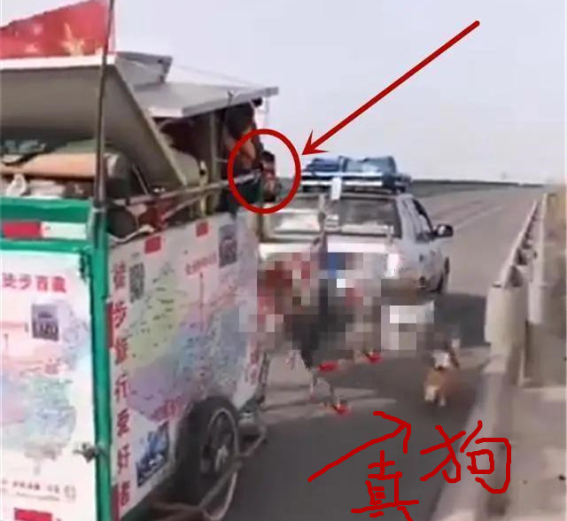「川藏线」川藏线上直播的网红，多少人在“作秀”？表面拉三轮实则开奔驰！
