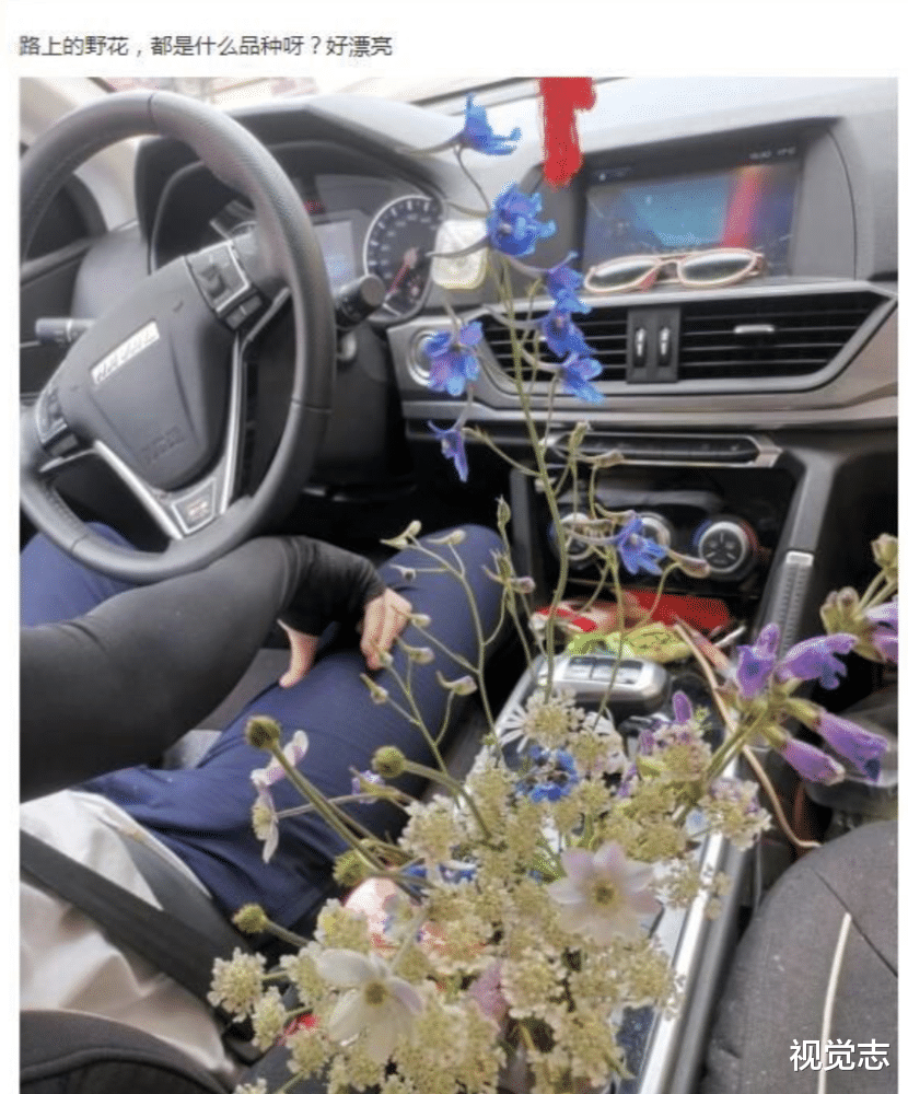 视觉志|青藏高原的一具尸体,正在掉下热搜