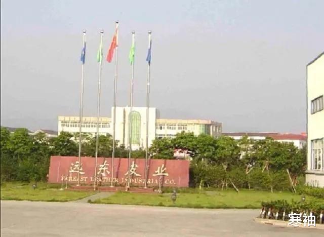 精神病院|当亲情碰上利益！温州老板被父母送精神病院，姐弟偷偷转移股权！