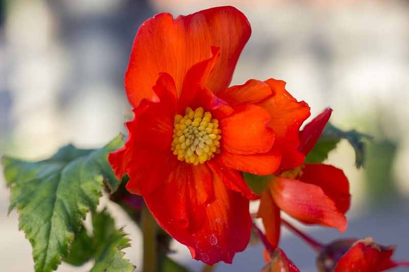 运势■最多再穷一个月，五月赢大奖，六月升职加薪的4大生肖