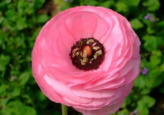 双鱼座■五月起天降福运，4属相好运不断，风生水起，财运翻身，心想事成