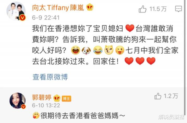 郭碧婷|郭碧婷疑似骗婚, 向佐微博取关，微博: 求求你, 别装了!