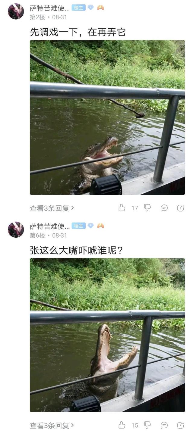 空军|世上只有两种贴吧，钓鱼吧和其他