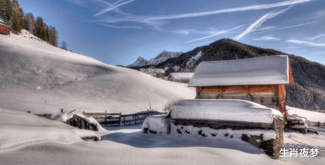 「生肖」5月底，桃花如雨，喜鹊叫不停。3生肖重获旧爱，难挡深情，不了情