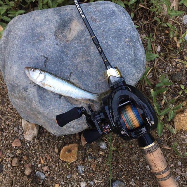 |如何正确的选择路亚拟饵?三方面解答新手疑惑,从此不再纠结