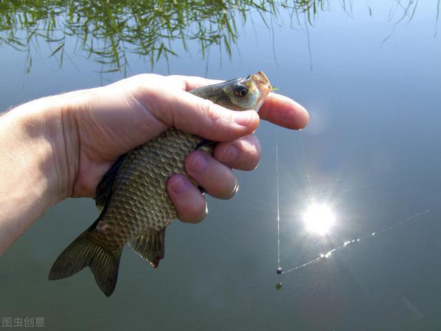 宁波|野钓鲫鱼，搓饵、拉饵、蚯蚓搭配散炮这样钓---皇禾渔具