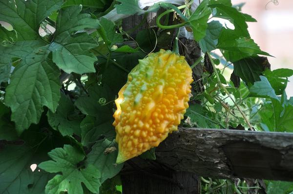 血糖|睡觉时，身体出现4种症状，或在警告你：血糖早已超过“安全线”