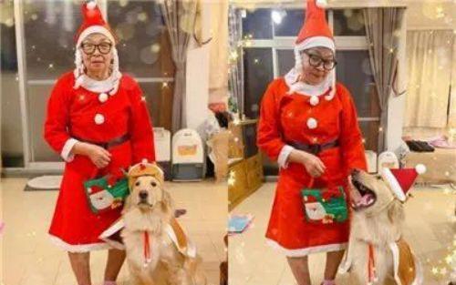 胆小狗！偶遇街头艺人被吓到连连倒退……