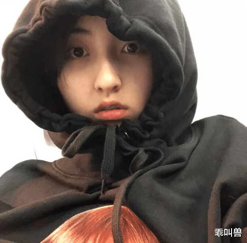 向4▲《向4》开播！张子枫手捧习题集为高考加油，工作学习两不误