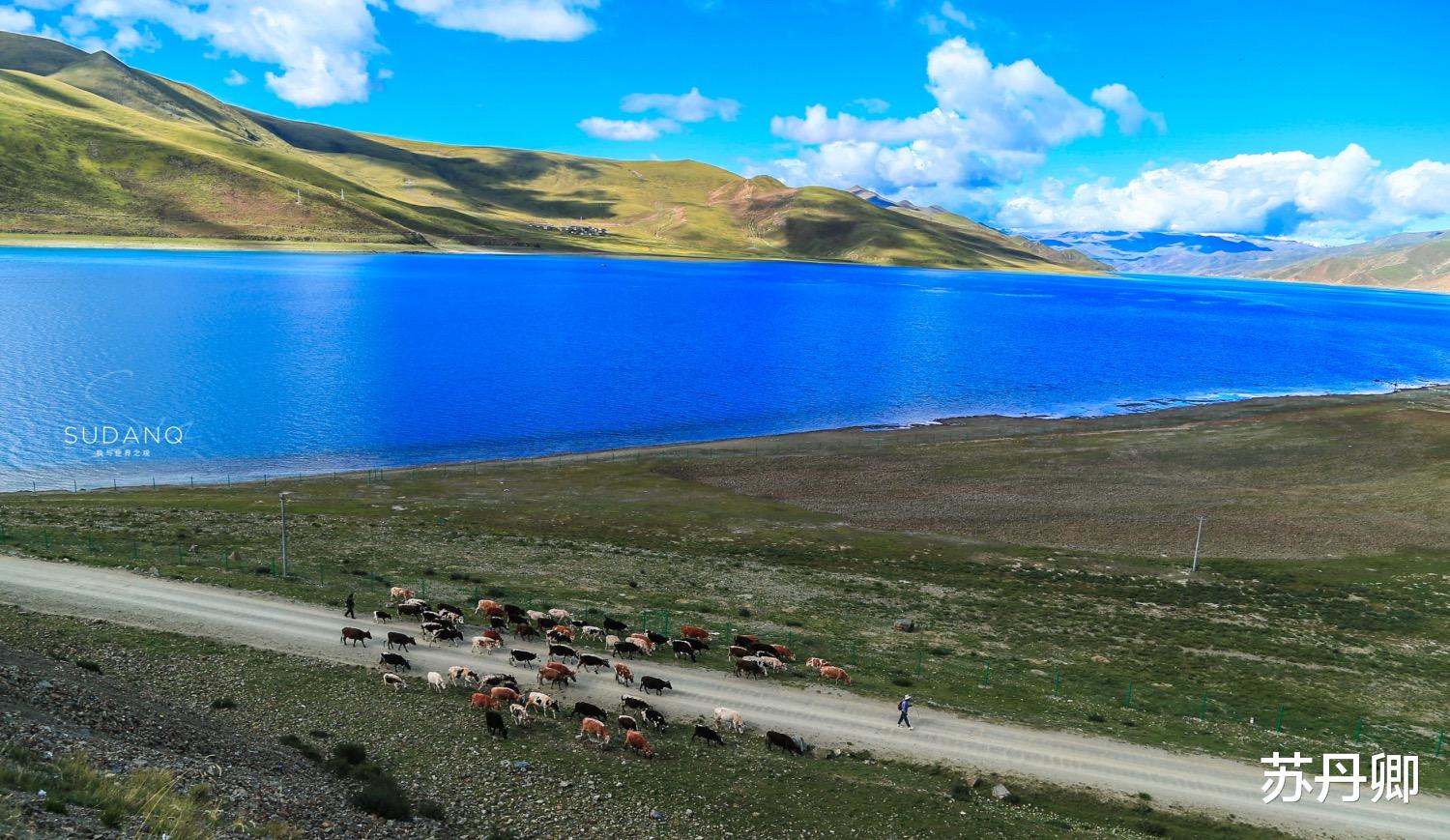 上海市@千万不要在西藏搭帐篷露宿！90后姑娘亲身经历，风光无限也藏风险