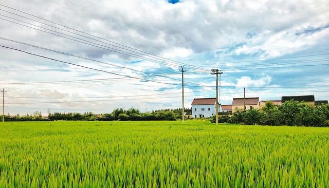 俗语“盖房不落断，落断无三代”中落断什么意思？这句话有何道理