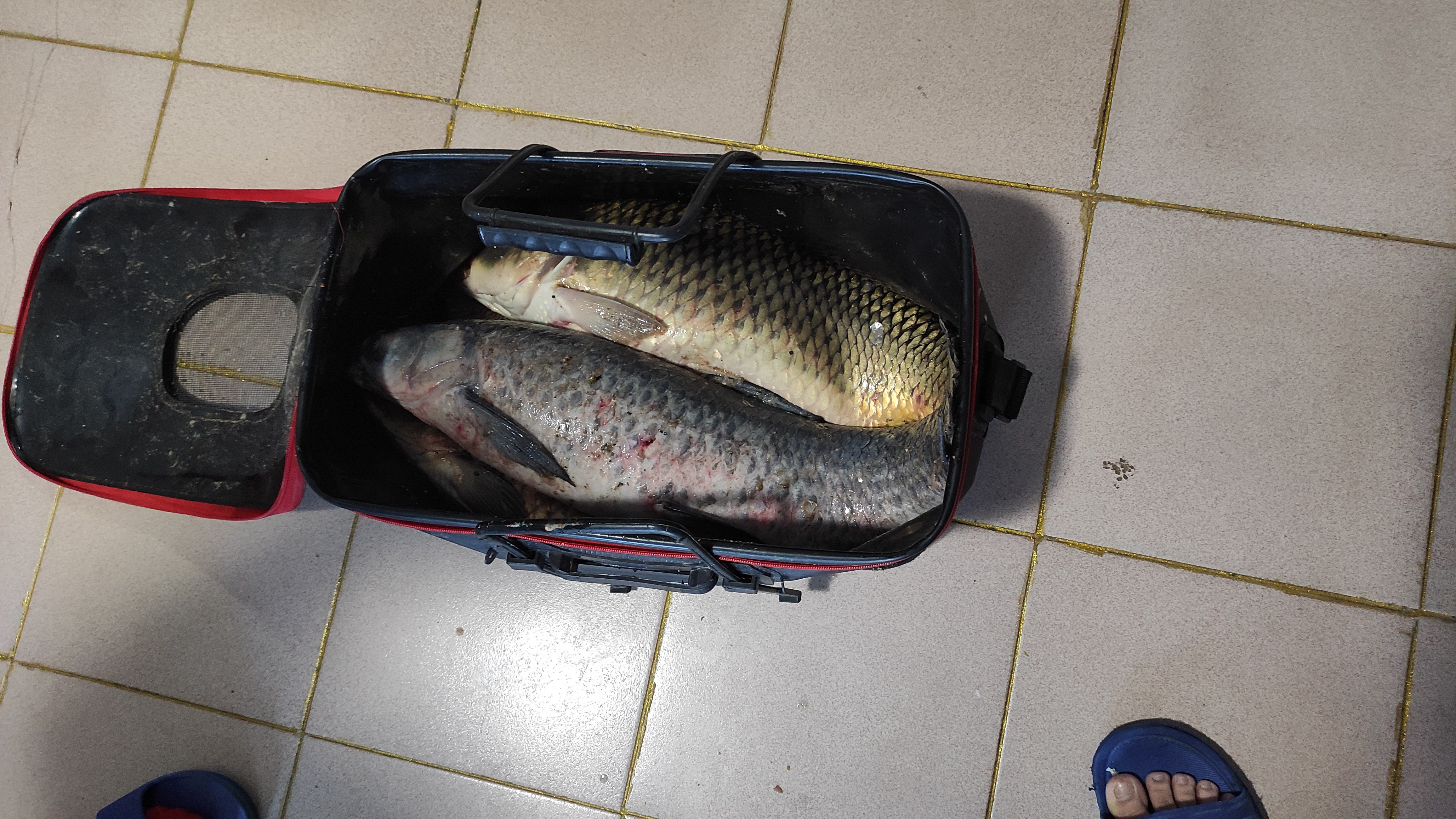 水库@用这三招，巧钓沙坑巨物，用渔获说话