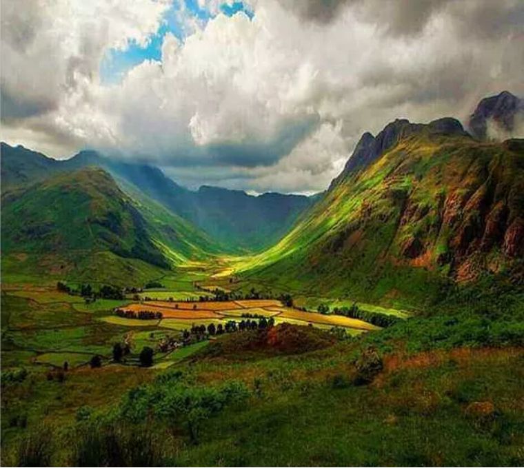 【肝脏】它被称为“万能穴”，能调百病！