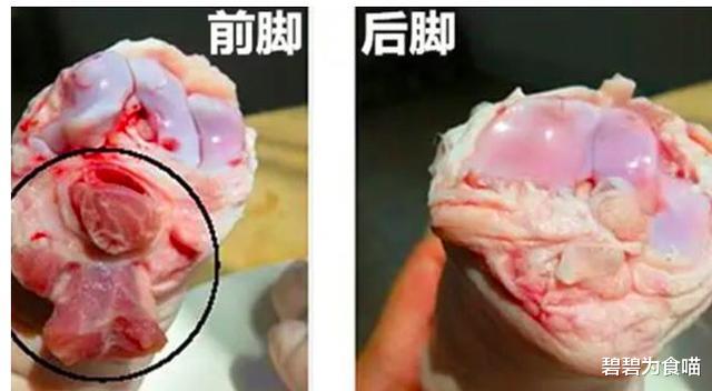 猪脚|猪脚挑“前腿”还是“后腿”？肉贩子三招教会你，以后再不会买错