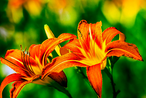 #金牛座#2020下半年，财神眷顾，上天保佑的三个星座