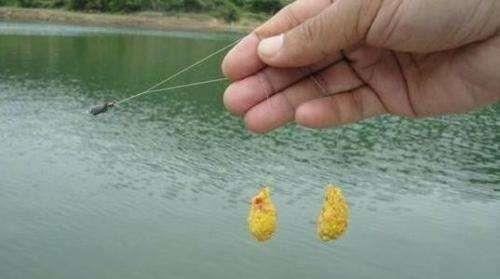 「」按照春季的模式钓夏季的鱼，已经行不通了！