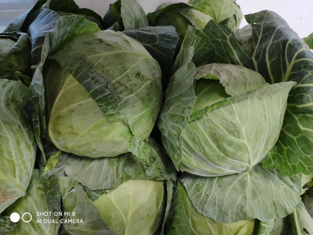 南阳|别人家孩子的学校：南阳五中八全校区餐厅曝光！