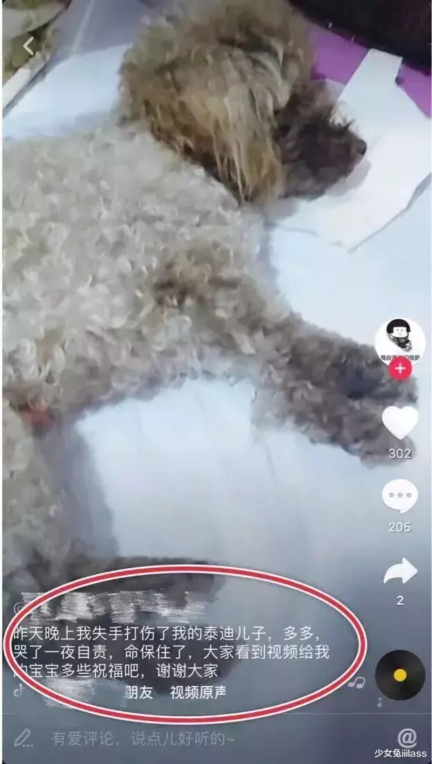 少女兔iiilass|“杭州女子离奇失踪，网红蜂拥而至”对不起，你拼命「圈钱」的样子真丑！