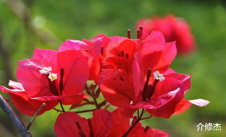 巨蟹座|10月，桃花运强势来袭，期待的良缘终于碰面，牵手真爱的4大星座