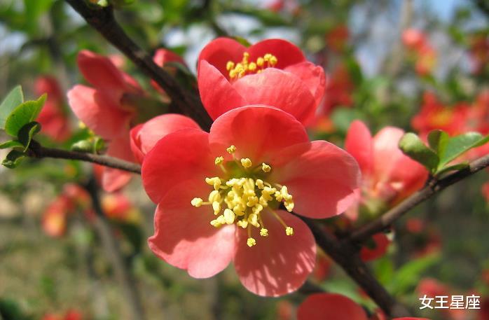 『生肖』7月3号，事业蒸蒸日上，适合白手起家的3生肖