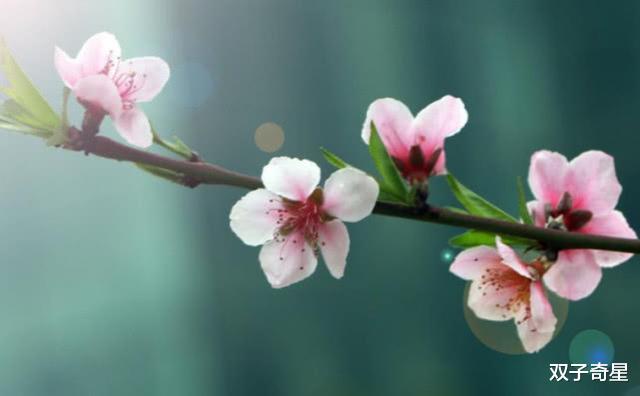 生肖@未来二十天贵人指点，财运上升，存款翻倍，日子舒适惬意的星座