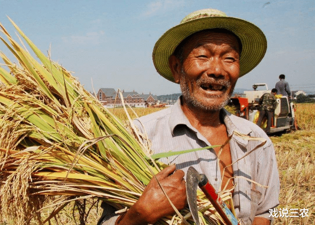 戏说三农|粮补何时到账？补贴多少钱？发给谁？机动地也补吗？统统有答案了