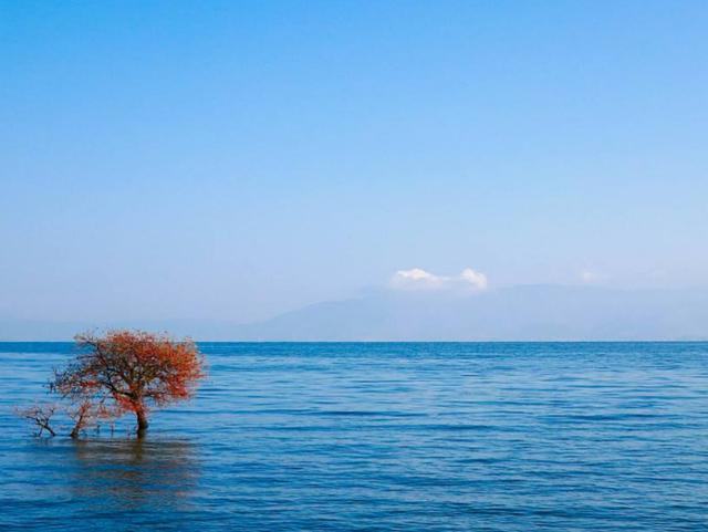 「旅行」我国适合自驾游的旅行地，沿途风光美不胜收，看到第一个就想出发