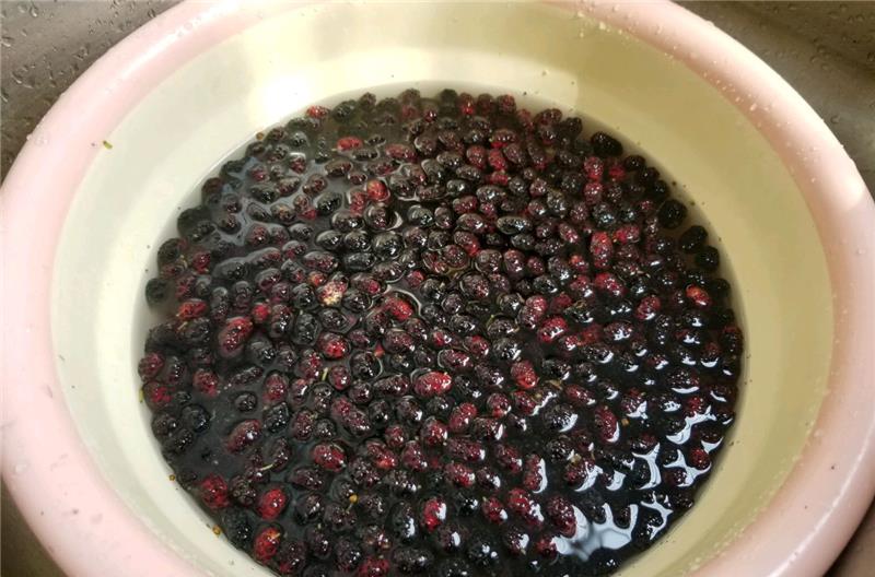 『桑葚』吃1斤它，相当于吃6斤苹果，4斤葡萄，5月吃最鲜嫩，别错过