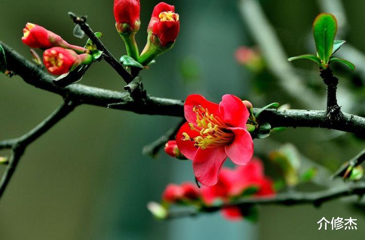 运势|9月底迎来大把好运，霉运见了绕着走，满面红光的四大生肖！