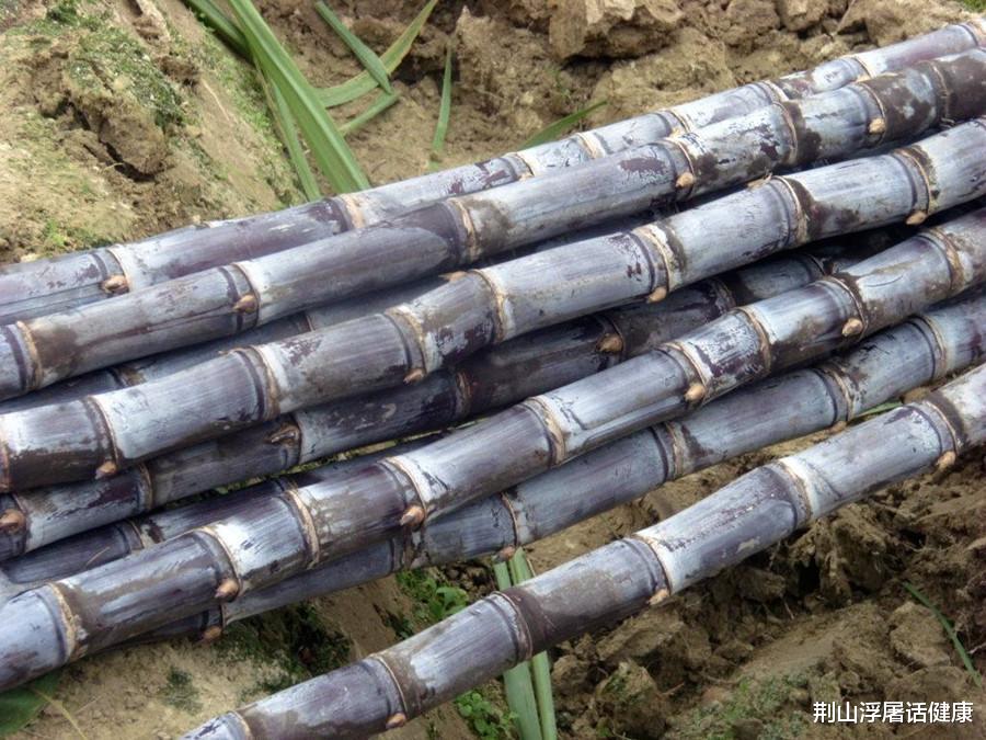 肠胃|“三甜”伤胃，尽量少吃，“二香”养胃，最好多吃，都知道吗？