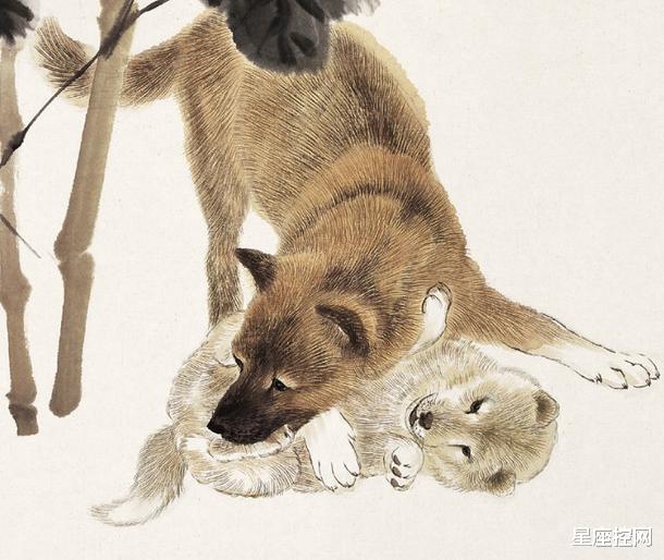 [属狗]看似单纯好欺负，其实很有好胜心的3属相，今年出其不意翻身致富