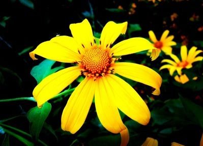 生肖|8月双喜临门，9月大富大贵躲不掉，4生肖贵人进门鸿运接二连三