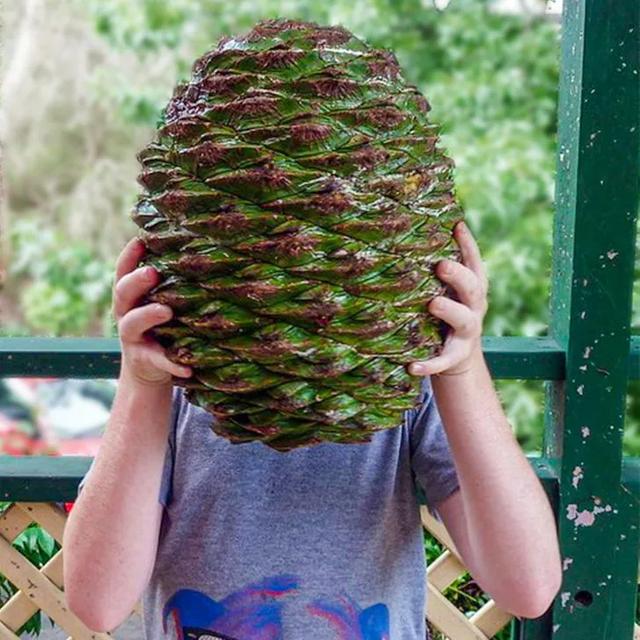 |26张“活久见”的震撼图片，每一张都来之不易