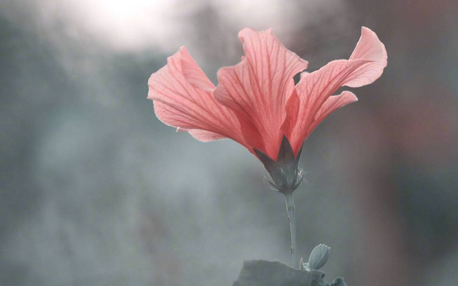 霉运|11月起，喜事一波波，霉运阻碍少，财源滚滚，升职加薪不是梦的3星座