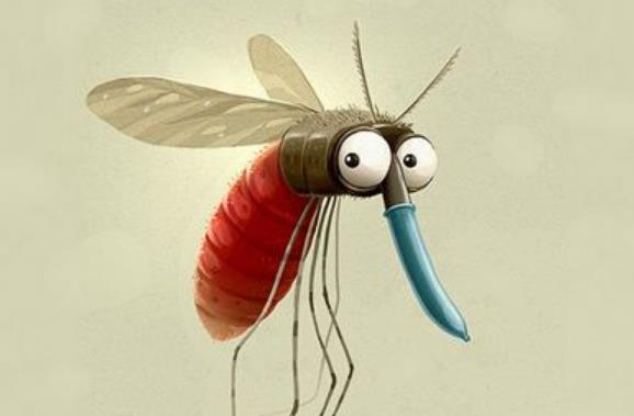 蚊子|为什么蚊子喜欢吸血,吸的血最后都去哪了?看完终于揭开多年疑惑