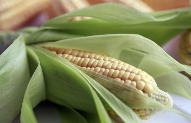 长寿|血管不堵的人,身体一般有5种特征,若你全占,恭喜,健康易长寿