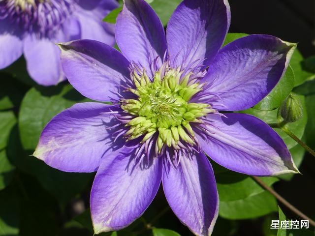 |几月出生的人，不靠嘴皮子，就靠真本事，下半年有能力挤进富豪榜