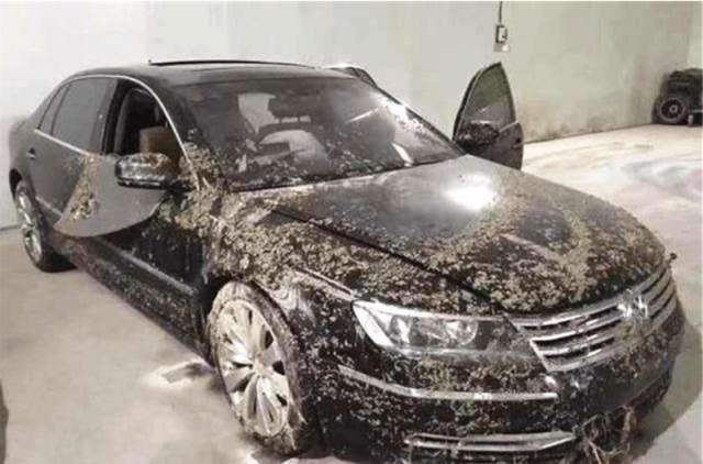 「长安汽车」小伙花30万买泡水辉腾被嘲笑,维修工却看愣了,这次你赚大了