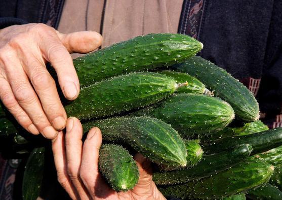 肝脏▲肝不好都写在脸上,脸上出现4种状况要注意,3件事不能再做了