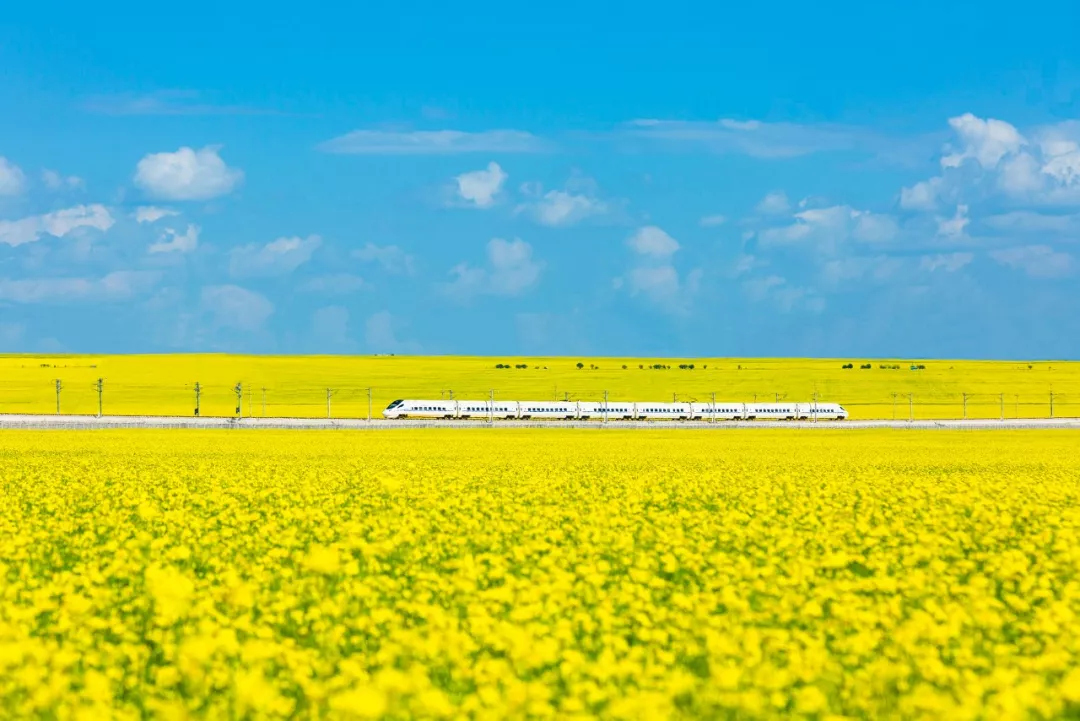 「门源」未来30天,中国这7个地方将美哭全世界