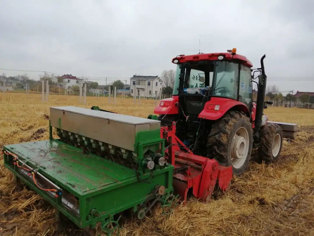 海水稻@连续5年超6.5亿吨，是谁给粮食产量“增了肥”？