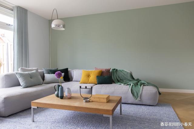 |沙发不靠墙,门夹柜子中,佩服这家业主,干了我一直想干的事