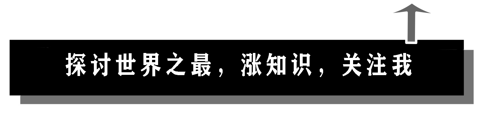 蟒蛇@世界上最大的蛇，6种尚未发现的蛇类，其实很多都是存在的