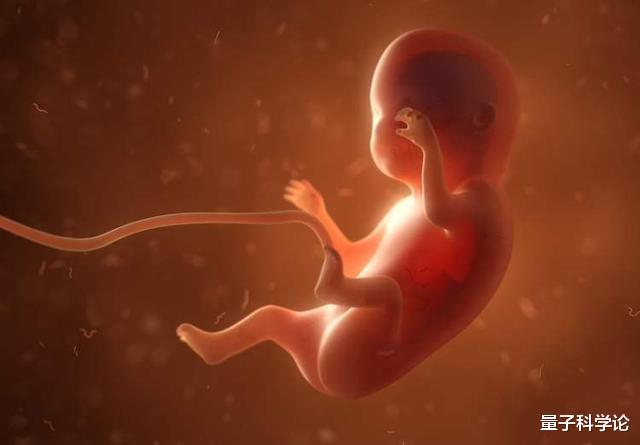 科学家|人类仍在进化,且在加速,科学家在35%的人手臂中发现了进化