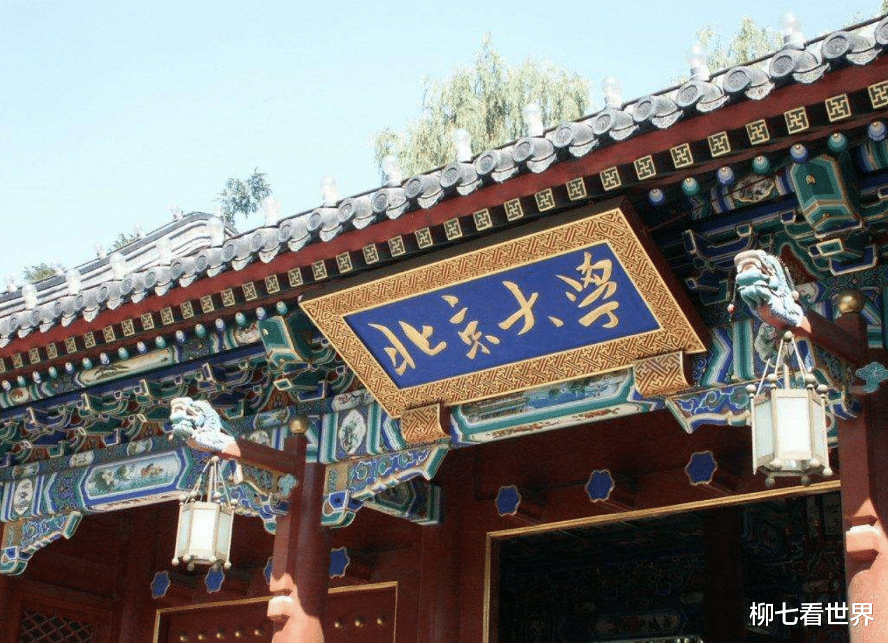 高校|她是文科状元，放弃北大去读211高校，成为当红主持人却单身