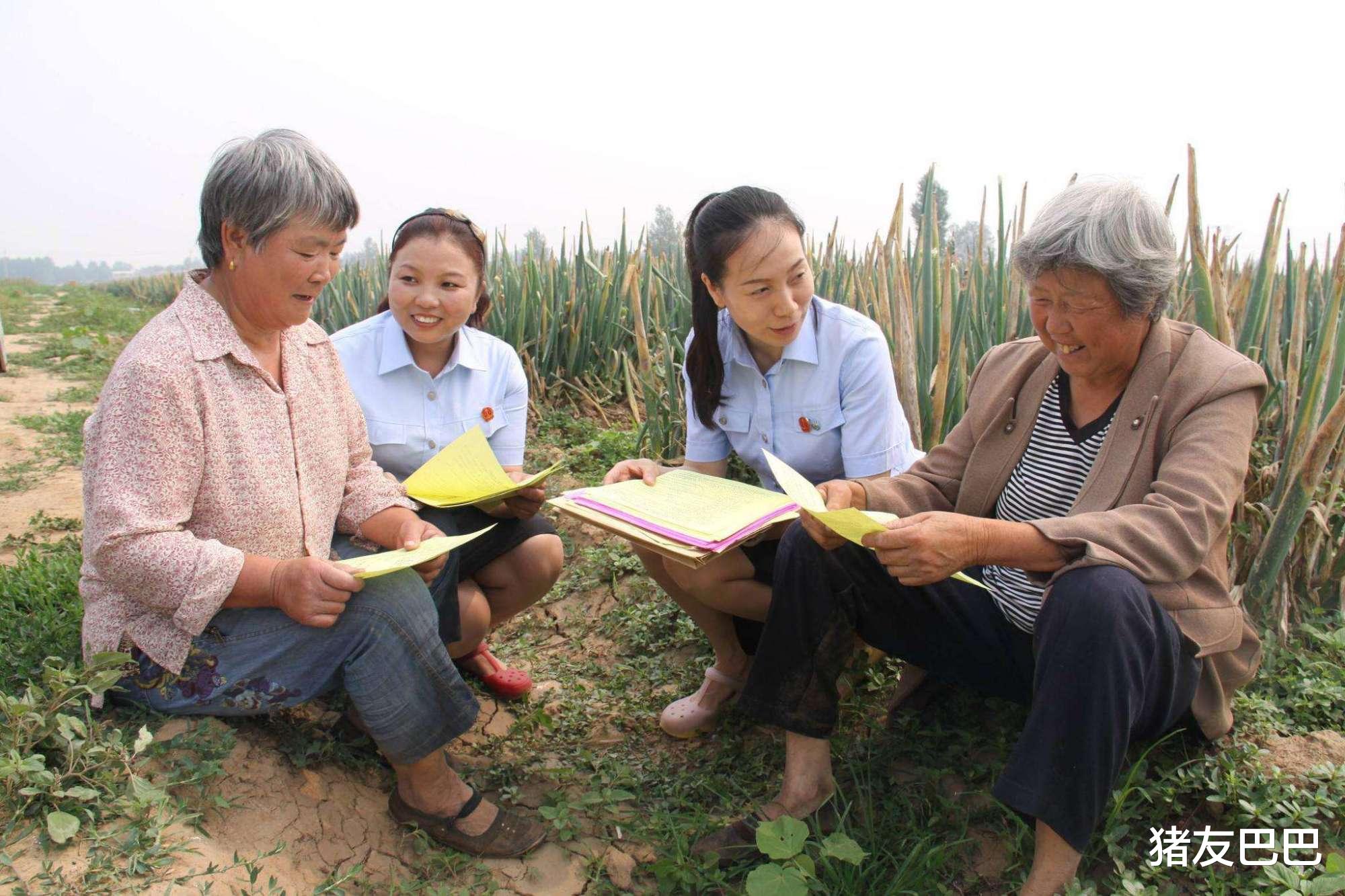「芒种」本月起，农村3种行为“不允许”，村支书带队严查，农民心中有数