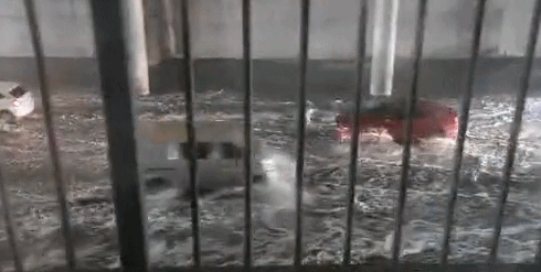 华商网|紧急提醒！西安这些路段积水严重，有车主被困…