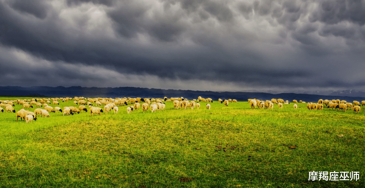 爱巢|11月下旬，失而复得，旧情人主动回头，爱得难解难分，共筑爱巢